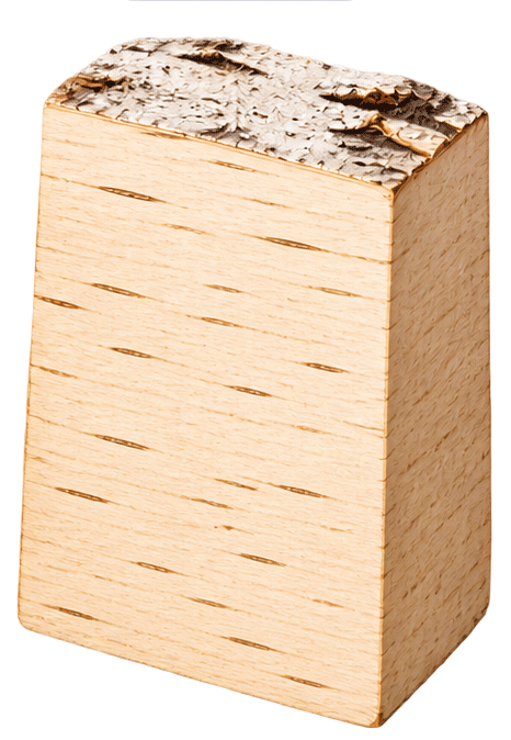 birch