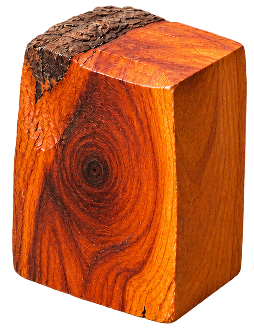 persimmon