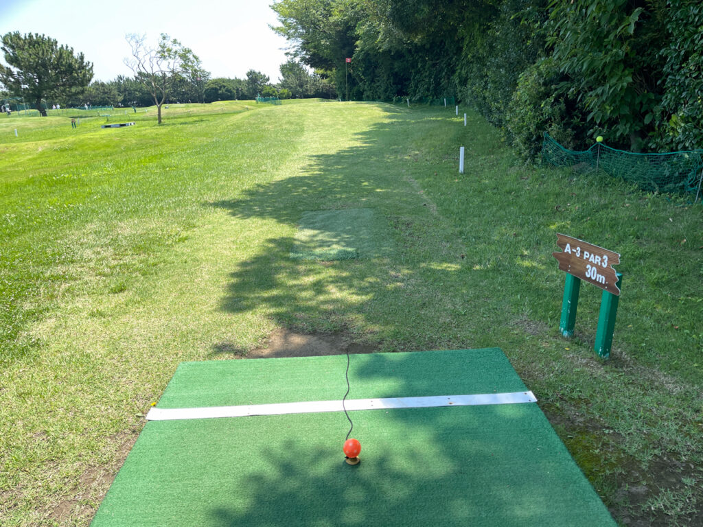Park Golf to the World tee pg